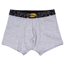 Boxer H Printed Waistband, ROPA INTERIOR Quiksilver