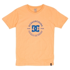 Remera MC N DC Big Circle,  Dc