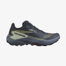 Genesis W,  Salomon