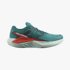 DRX Defy,  Salomon