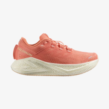 Aero Glide 3 W,  Salomon