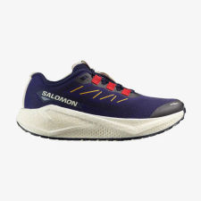 Aero Blaze 3 GRVL,  Salomon