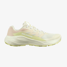 Alphaglide W,  Salomon