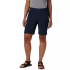 Short Cargo D Silver Ridge 2.0 AL2669 