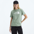 Remera MC D Evolution Sketch Logo Half Dome NF0A8EM5 